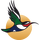 4Z